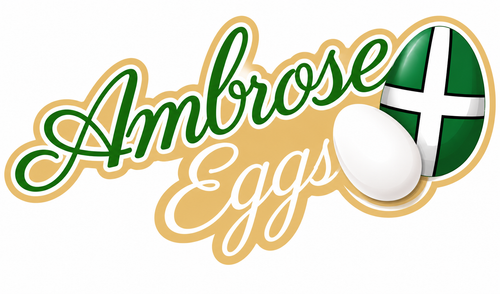 Ambrose Eggs