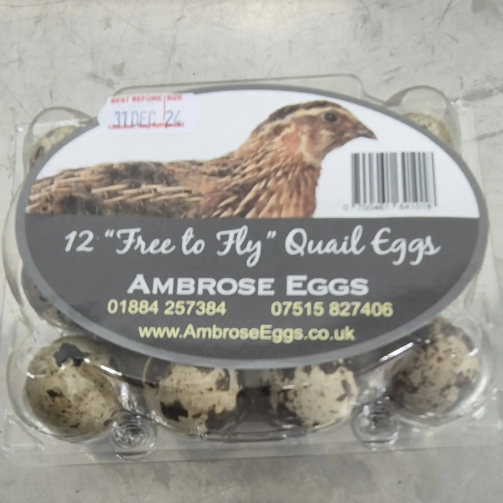 Quail eggs