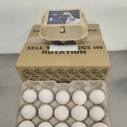 Duck eggs